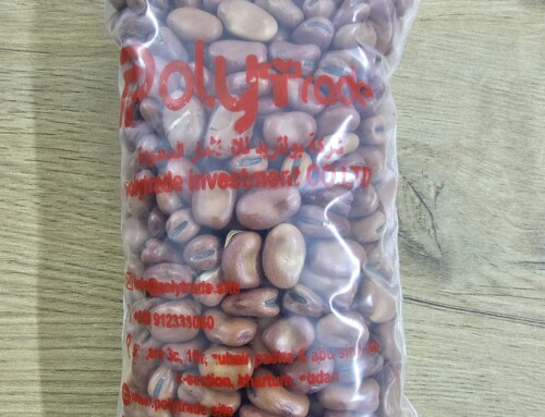 Brown Broad Beans